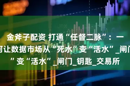金斧子配资 打通“任督二脉”：一张登记证书如何让数据市场从“死水”变“活水”_闸门_钥匙_交易所